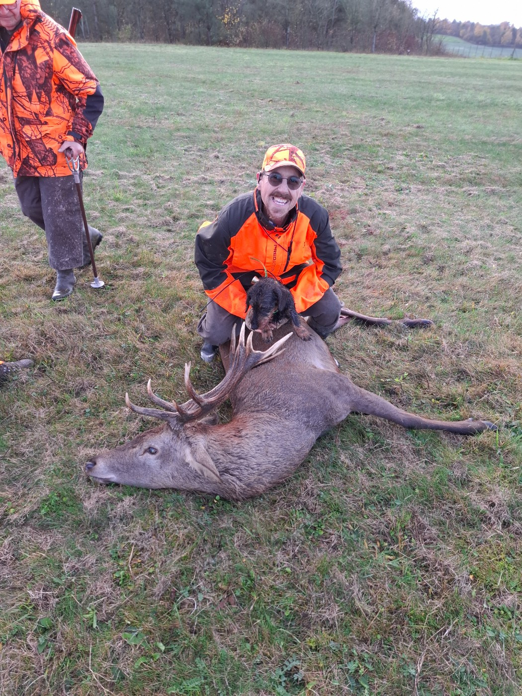 Violette du bois de Luzarches 2025